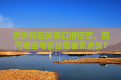 欧洲杯足球赛直播指南，国内哪些电视台能看焦点战？