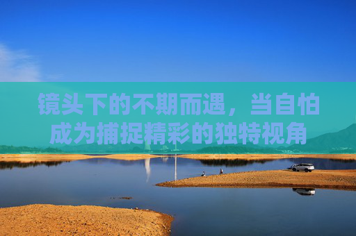 镜头下的不期而遇，当自怕成为捕捉精彩的独特视角
