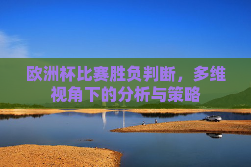 欧洲杯比赛胜负判断，多维视角下的分析与策略