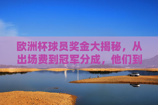欧洲杯球员奖金大揭秘，从出场费到冠军分成，他们到底能赚多少？