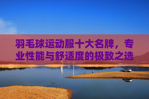 羽毛球运动服十大名牌，专业性能与舒适度的极致之选