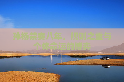 孙杨禁赛八年,规则之重与个体命运的博弈 孙杨禁赛八年,规则之重与个体命运的博弈