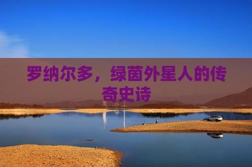 罗纳尔多，绿茵外星人的传奇史诗