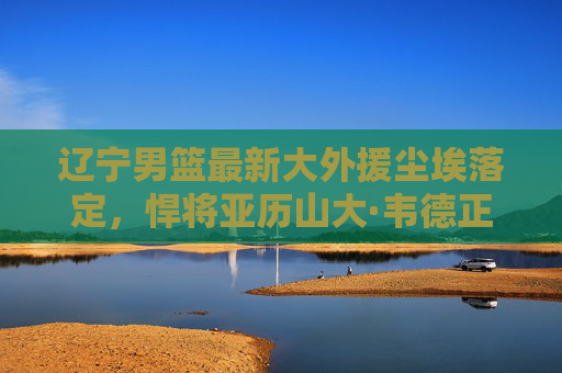 辽宁男篮最新大外援尘埃落定，悍将亚历山大·韦德正式加盟，内线实力再升级！