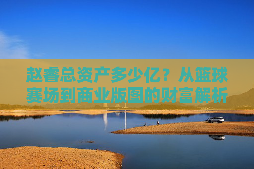 赵睿总资产多少亿？从篮球赛场到商业版图的财富解析