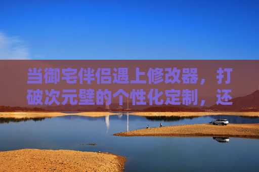 当御宅伴侣遇上修改器，打破次元壁的个性化定制，还是游走规则的灰色地带？
