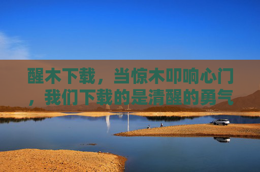 醒木下载，当惊木叩响心门，我们下载的是清醒的勇气