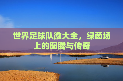 世界足球队徽大全，绿茵场上的图腾与传奇
