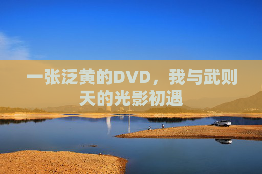 一张泛黄的DVD，我与武则天的光影初遇