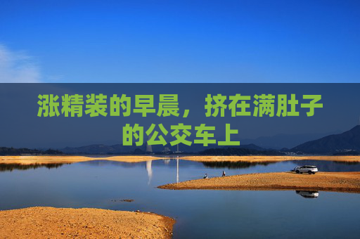 涨精装的早晨，挤在满肚子的公交车上