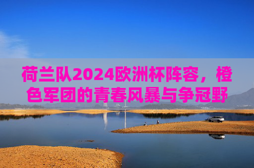 荷兰队2024欧洲杯阵容，橙色军团的青春风暴与争冠野心