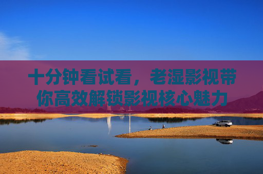 十分钟看试看，老湿影视带你高效解锁影视核心魅力