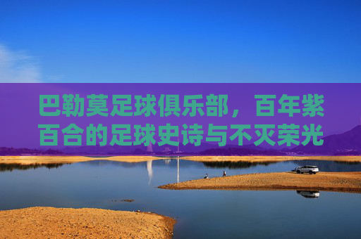 巴勒莫足球俱乐部，百年紫百合的足球史诗与不灭荣光