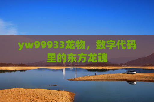 yw99933龙物，数字代码里的东方龙魂