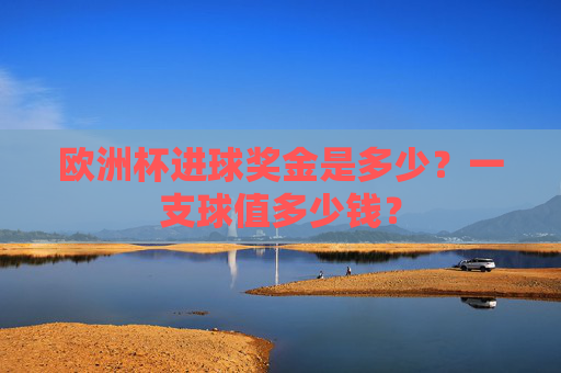欧洲杯进球奖金是多少？一支球值多少钱？