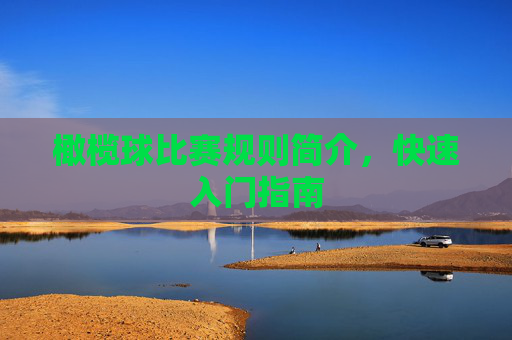 橄榄球比赛规则简介，快速入门指南