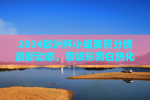 2024欧洲杯小组赛积分榜最新动态，晋级形势白热化，多队提前锁定席位