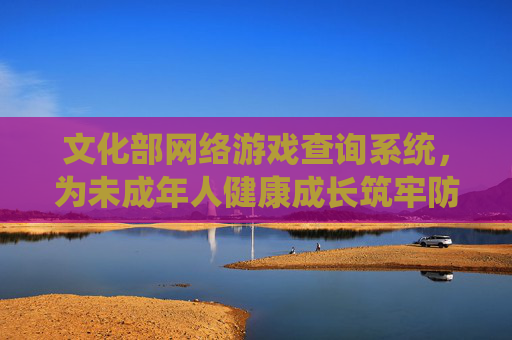 文化部网络游戏查询系统，为未成年人健康成长筑牢防火墙