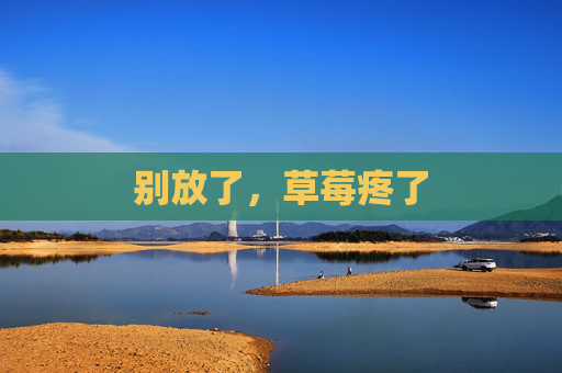 别放了，草莓疼了