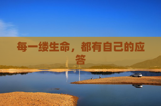 每一缕生命，都有自己的应答