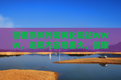 警惕原神外网黄化网站WWW，违规内容危害大，健康网络环境需共同守护