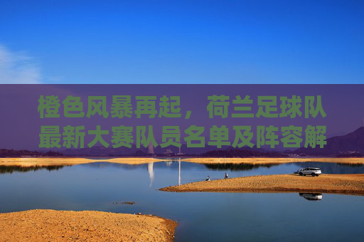橙色风暴再起，荷兰足球队最新大赛队员名单及阵容解析