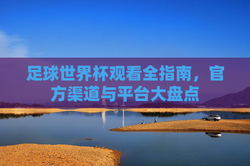 足球世界杯观看全指南，官方渠道与平台大盘点