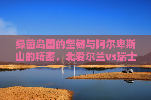 绿茵岛国的坚韧与阿尔卑斯山的精密，北爱尔兰vs瑞士足球对决解析