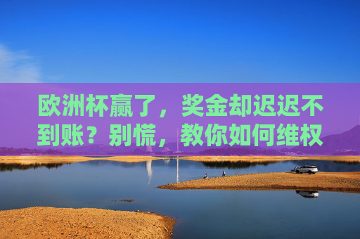 欧洲杯赢了，奖金却迟迟不到账？别慌，教你如何维权拿回赔付！