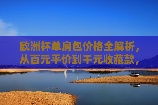 欧洲杯单肩包价格全解析，从百元平价到千元收藏款，哪款值得入手？