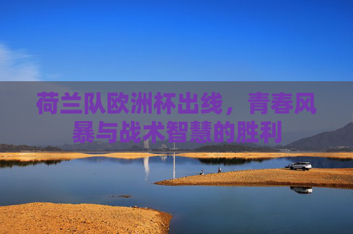 荷兰队欧洲杯出线，青春风暴与战术智慧的胜利