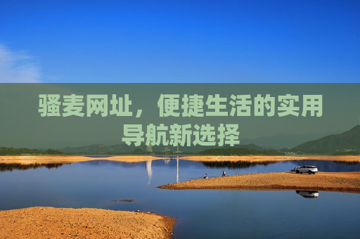 骚麦网址，便捷生活的实用导航新选择