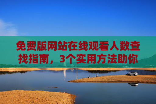 免费版网站在线观看人数查找指南，3个实用方法助你实时掌握
