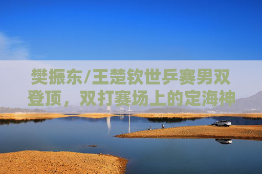 樊振东/王楚钦世乒赛男双登顶，双打赛场上的定海神针与青春风暴