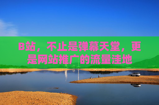 B站，不止是弹幕天堂，更是网站推广的流量洼地