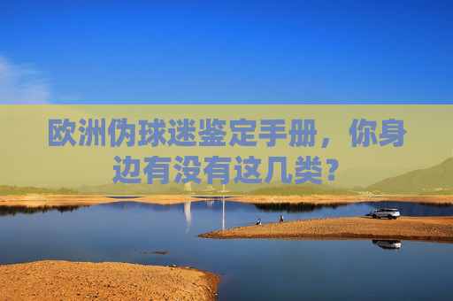 欧洲伪球迷鉴定手册，你身边有没有这几类？