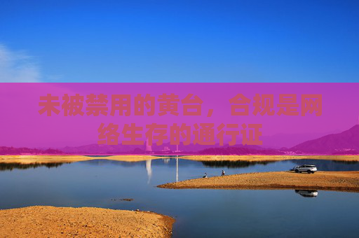 未被禁用的黄台，合规是网络生存的通行证
