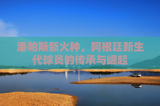 潘帕斯新火种，阿根廷新生代球员的传承与崛起