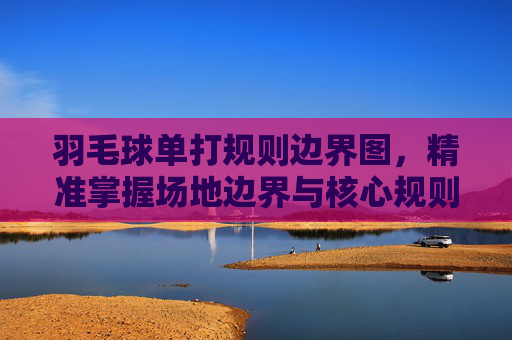 羽毛球单打规则边界图，精准掌握场地边界与核心规则