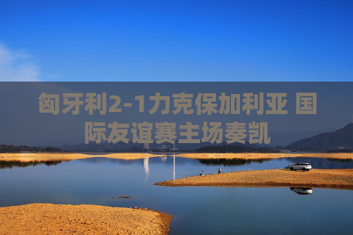 匈牙利2-1力克保加利亚 国际友谊赛主场奏凯