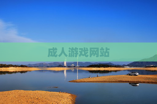 成人游戏网站