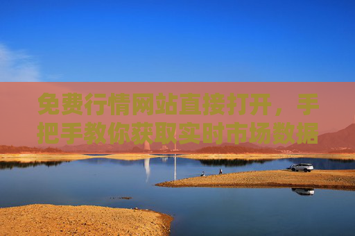免费行情网站直接打开，手把手教你获取实时市场数据，投资不再盲猜
