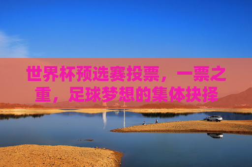 世界杯预选赛投票，一票之重，足球梦想的集体抉择
