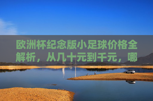 欧洲杯纪念版小足球价格全解析，从几十元到千元，哪款值得入手？