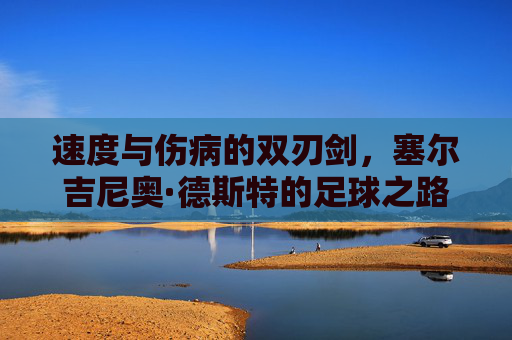 速度与伤病的双刃剑，塞尔吉尼奥·德斯特的足球之路
