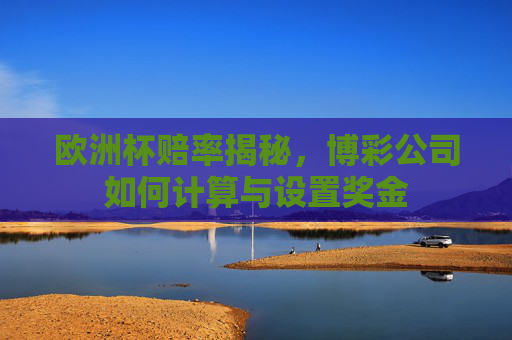 欧洲杯赔率揭秘，博彩公司如何计算与设置奖金