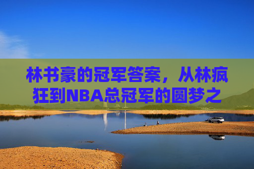 林书豪的冠军答案，从林疯狂到NBA总冠军的圆梦之路