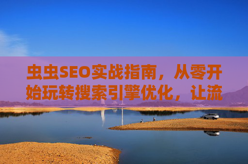 虫虫SEO实战指南，从零开始玩转搜索引擎优化，让流量不再是难题