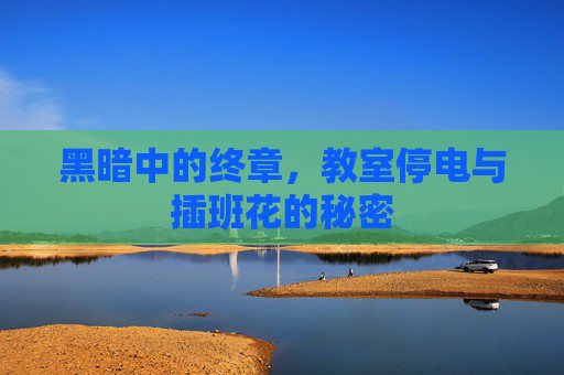 黑暗中的终章，教室停电与插班花的秘密