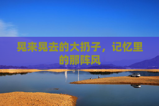 晃来晃去的大扔子，记忆里的那阵风